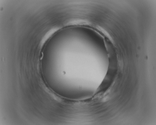 X0000076381277200610202030