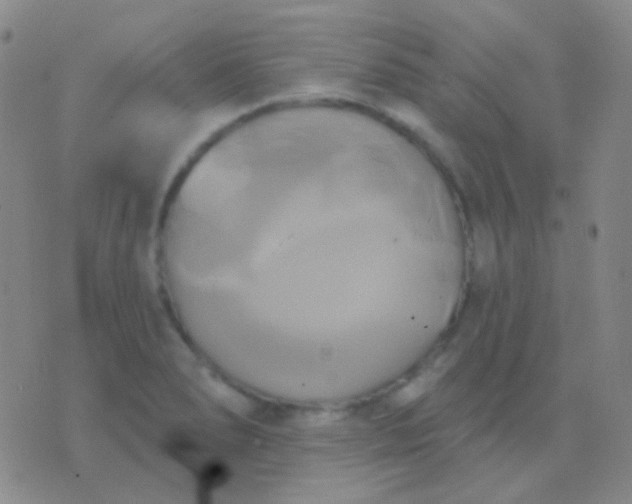 X0000076381278200610202030