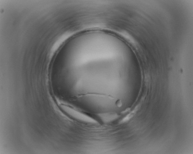 X0000076381279200610202030