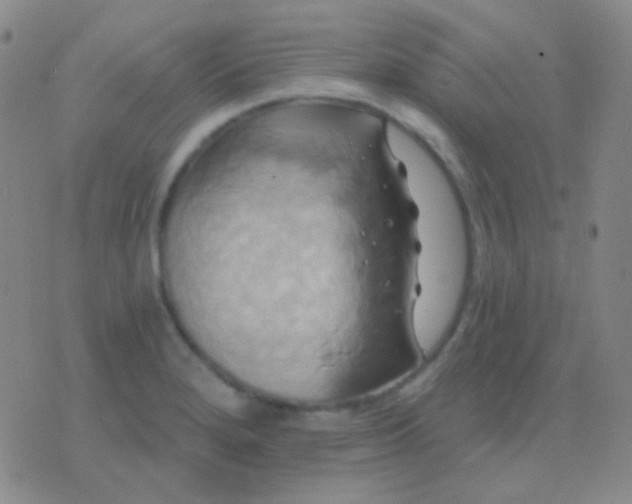 X0000076381280200610202030