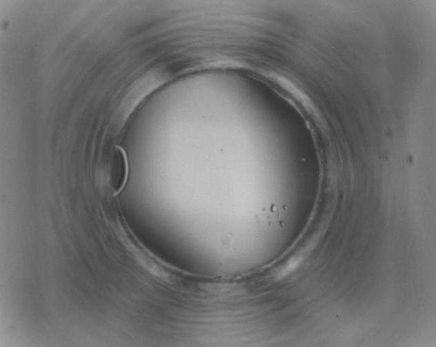 X0000076381281200610202030