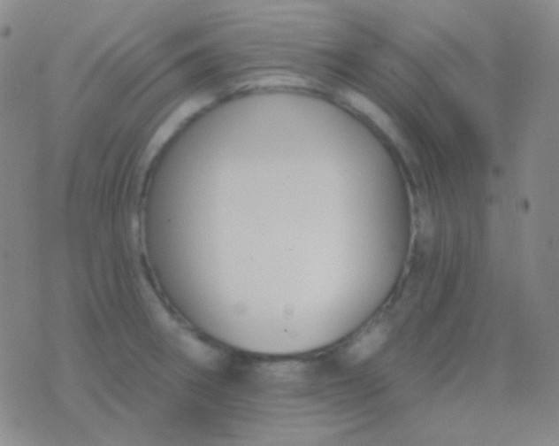 X0000076381282200610202030