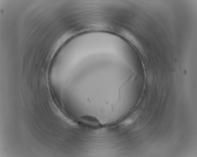 X0000076381283200610202030