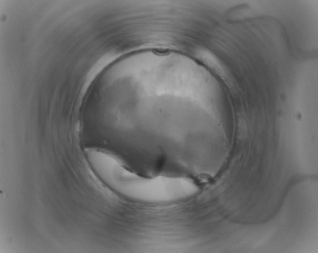 X0000076381284200610202030