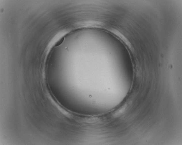 X0000076381285200610202030