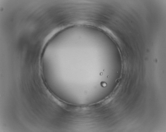 X0000076381286200610202030