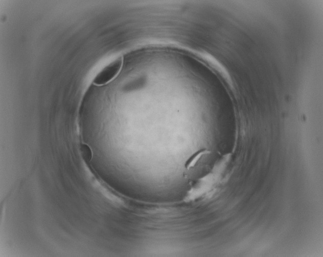 X0000076381287200610202030