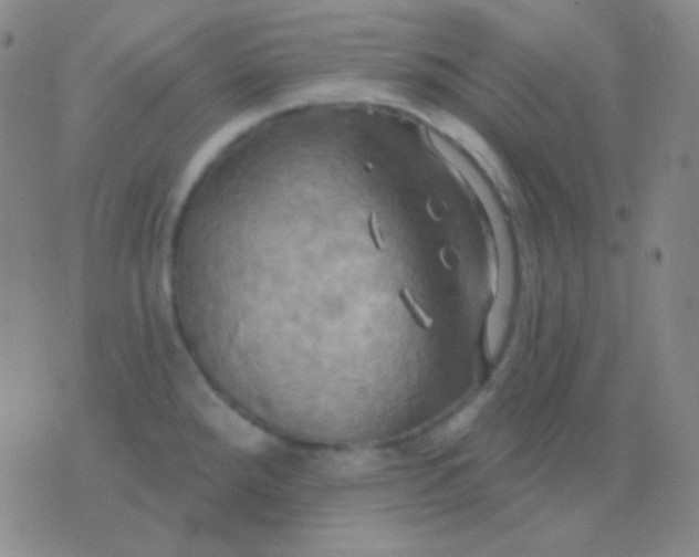 X0000076381288200610202030