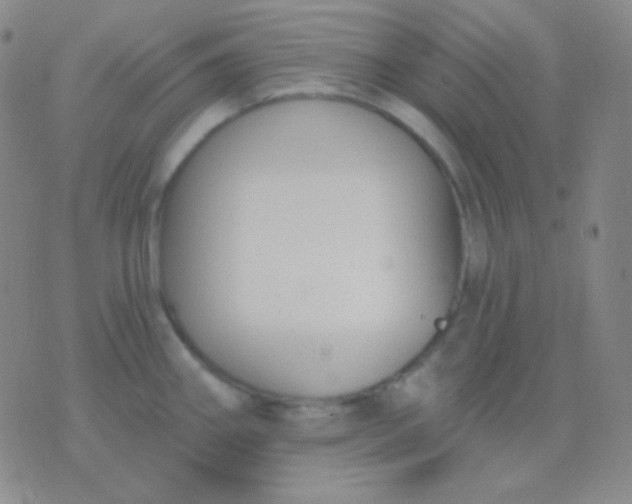 X0000076381290200610202030