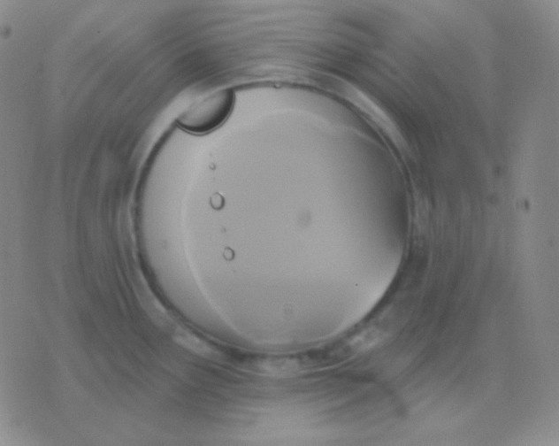 X0000076381291200610202030