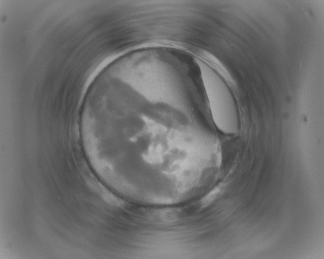 X0000076381292200610202030