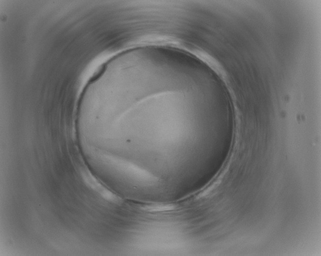 X0000076381296200610202030