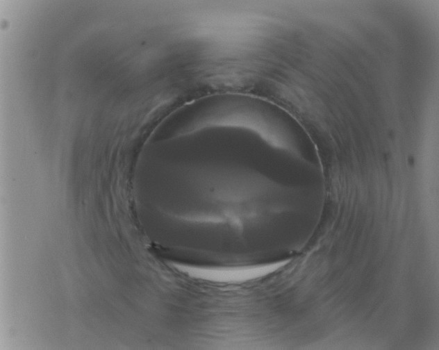 X0000076381297200610202029