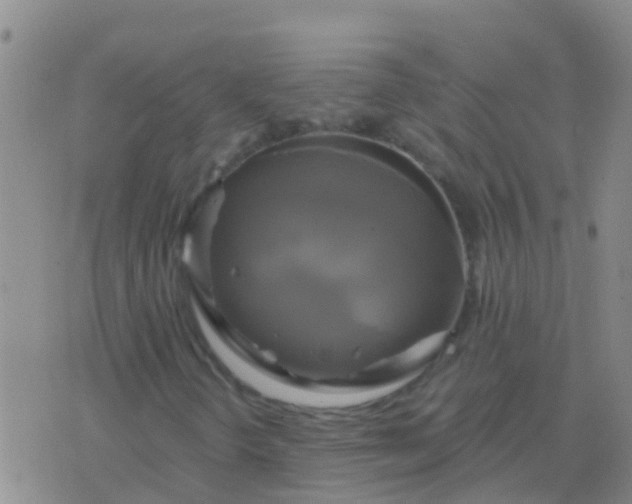 X0000076381298200610202029