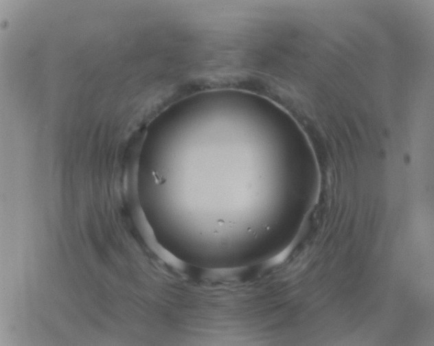 X0000076381300200610202029