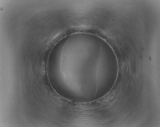 X0000076381301200610202029