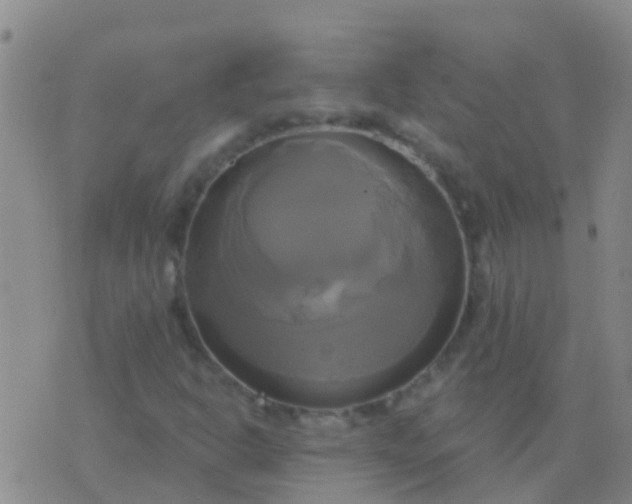 X0000076381302200610202029