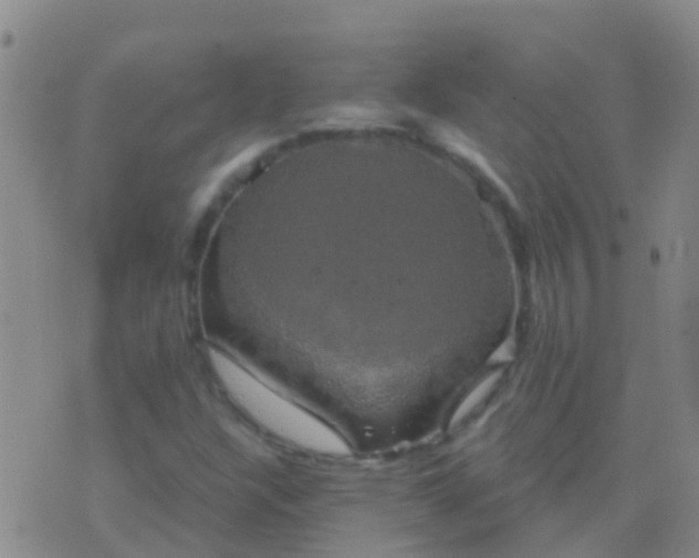 X0000076381304200610202029