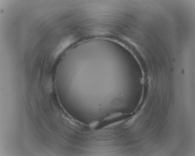 X0000076381306200610202029