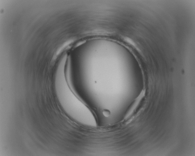 X0000076381307200610202029