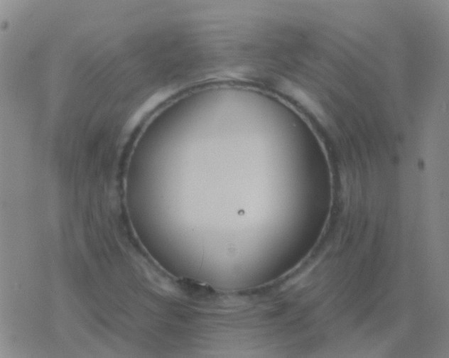 X0000076381308200610202029