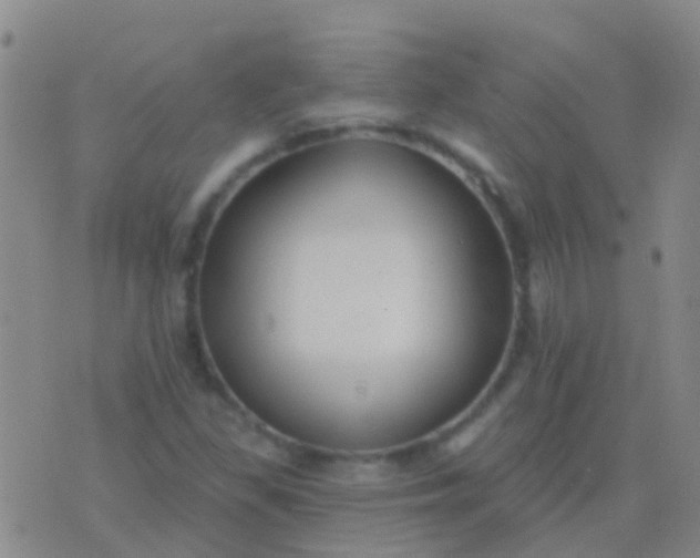 X0000076381309200610202029