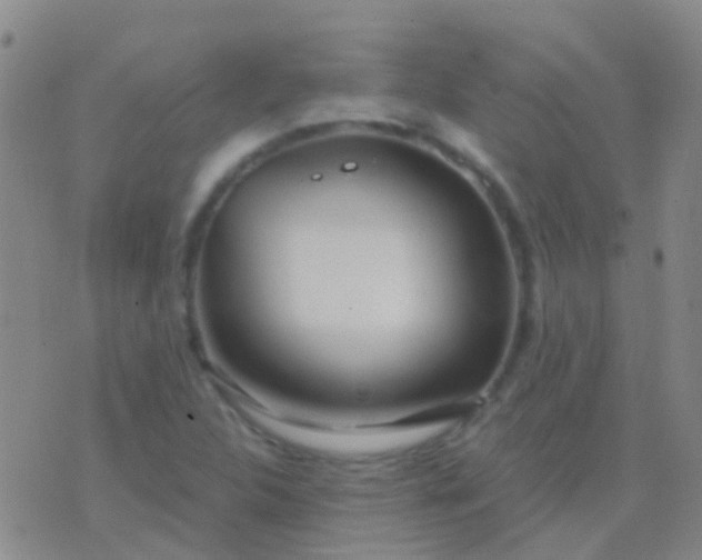 X0000076381312200610202029