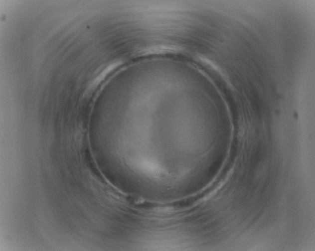 X0000076381313200610202029