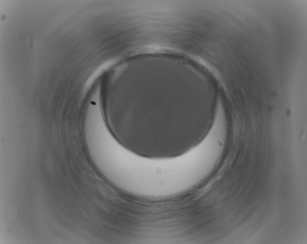 X0000076381314200610202029