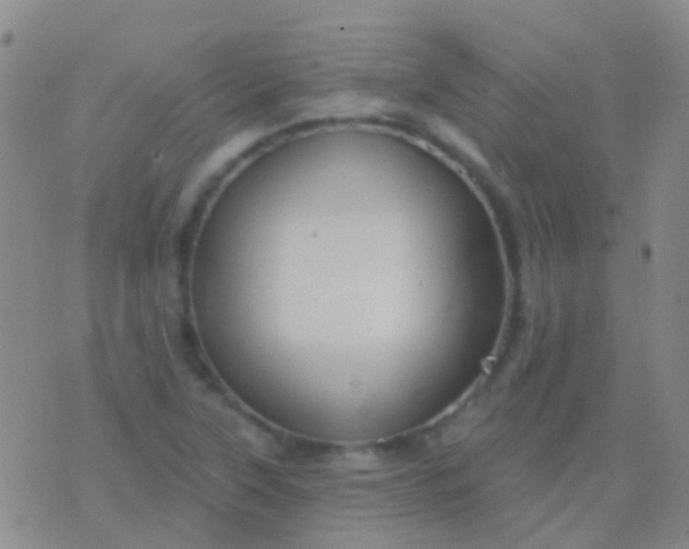 X0000076381315200610202029