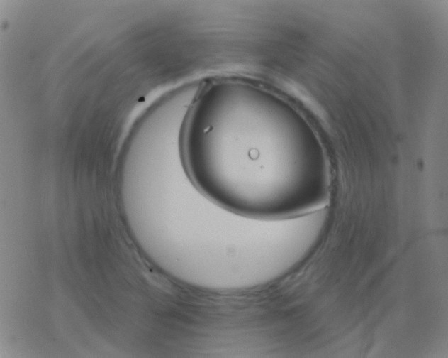 X0000076381316200610202029