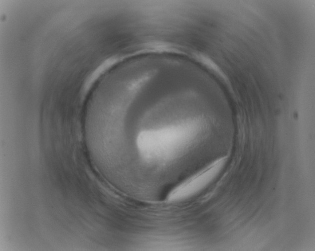 X0000076381318200610202029