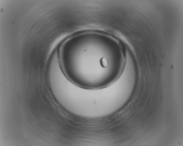 X0000076381320200610202029