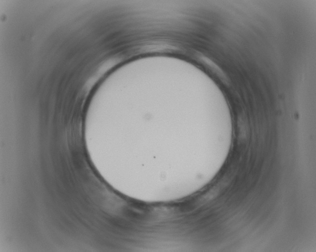 X0000076381322200610202029