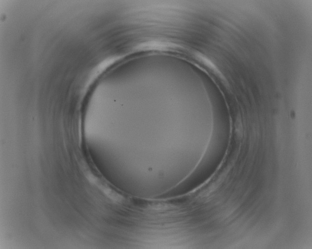 X0000076381323200610202029