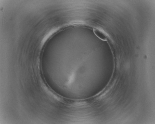 X0000076381325200610202029