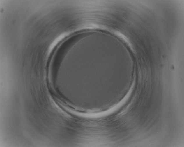 X0000076381326200610202029