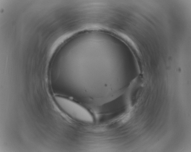 X0000076381327200610202029