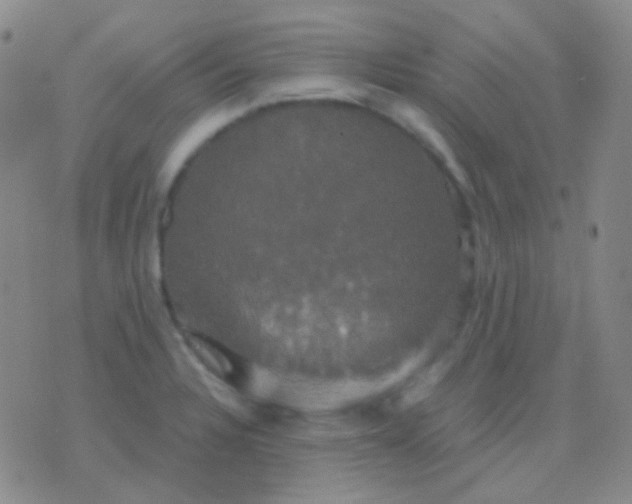 X0000076381328200610202030