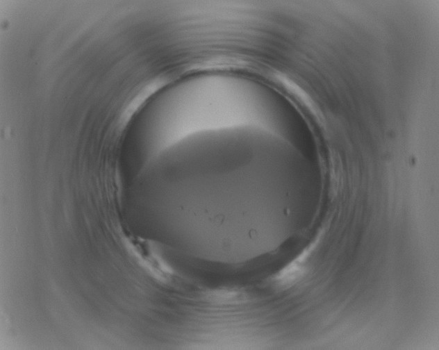 X0000076381329200610202030