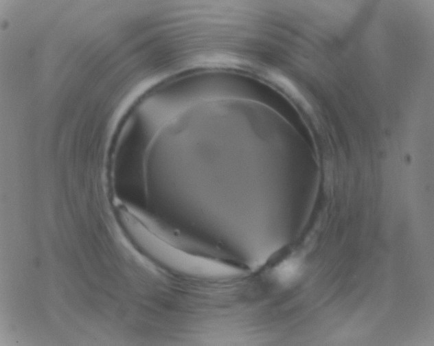 X0000076381331200610202030