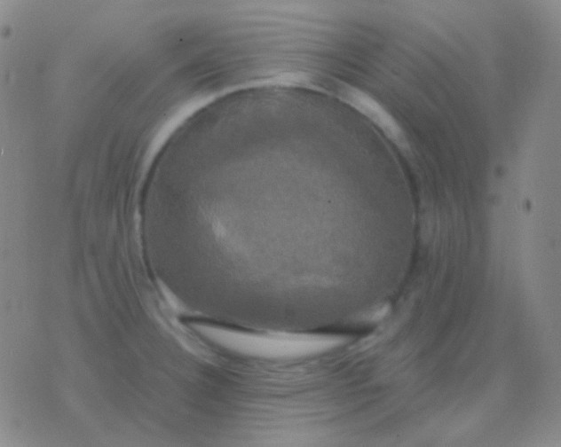 X0000076381332200610202030