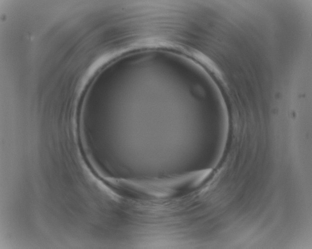 X0000076381334200610202030