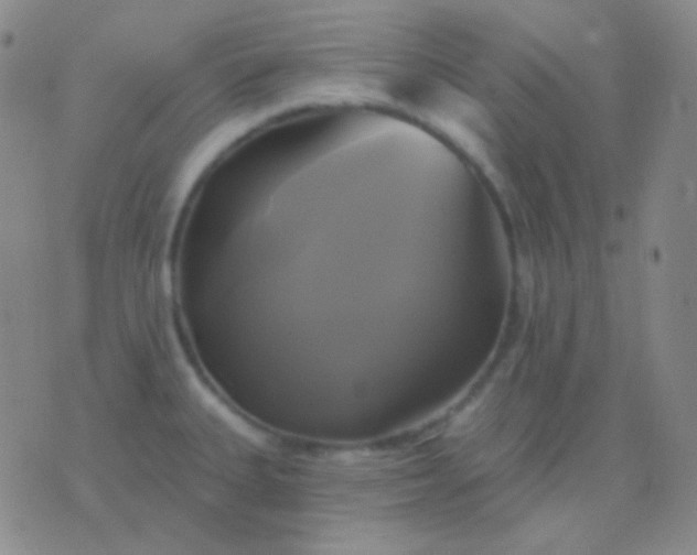 X0000076381335200610202030