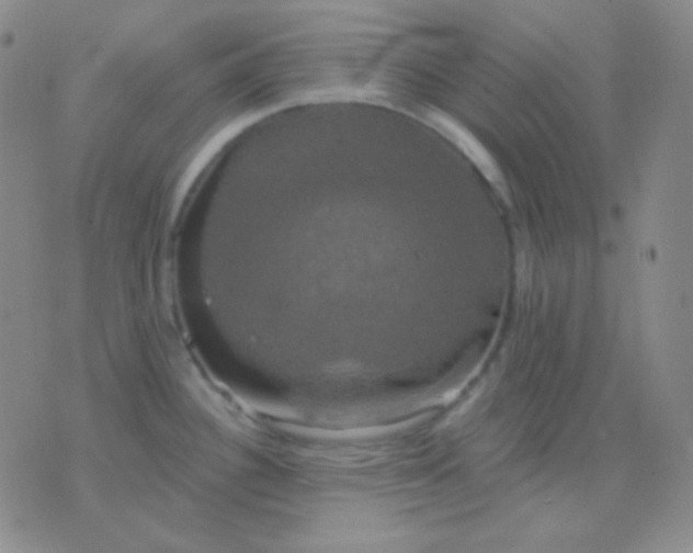 X0000076381340200610202030