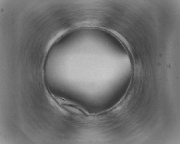 X0000076381341200610202030