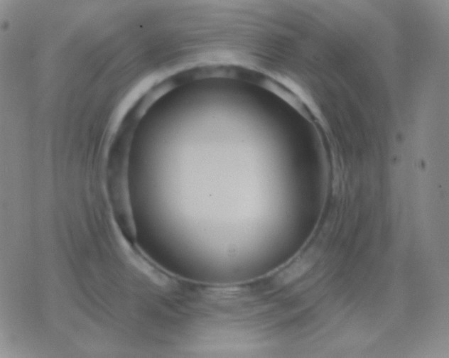 X0000076381342200610202030