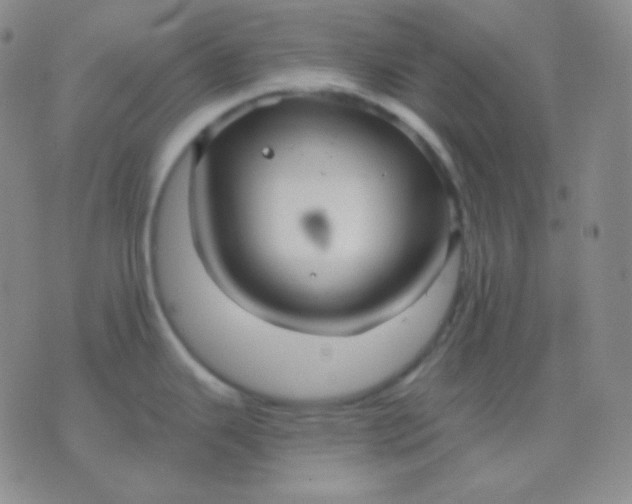 X0000076381343200610202030