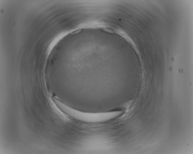 X0000076381344200610202030