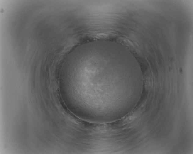 X0000076381345200610202029